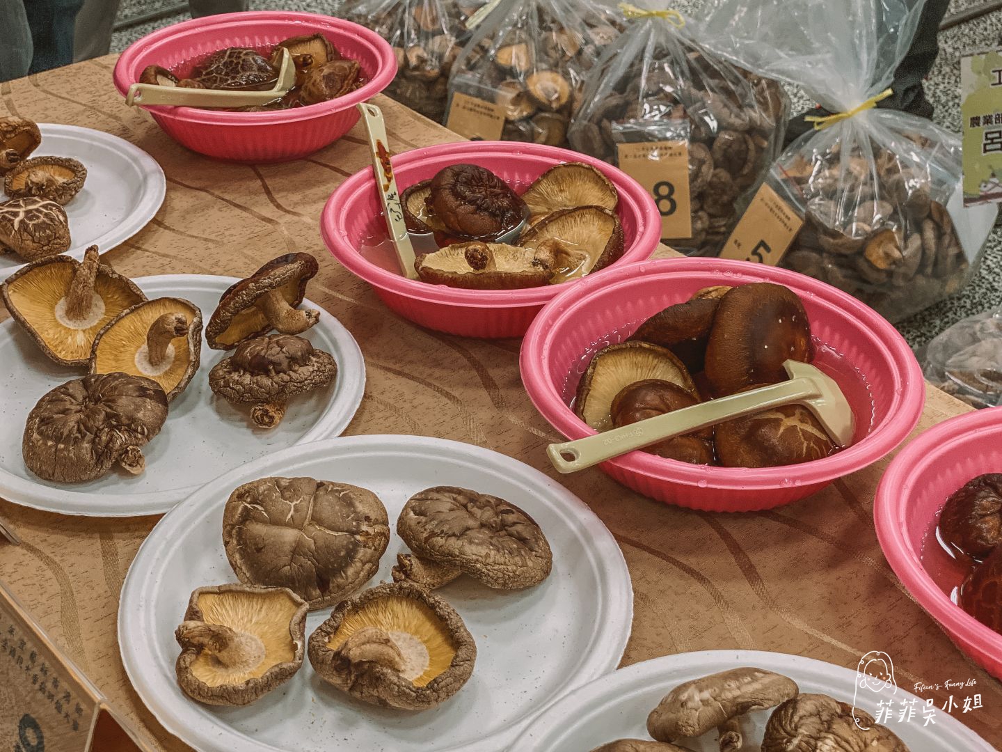 宜蘭野山菇南澳香菇野餐節 特色市集、種植香菇體驗、野餐活動、來一場泰雅族深度文化體驗吧！ @菲菲吳小姐