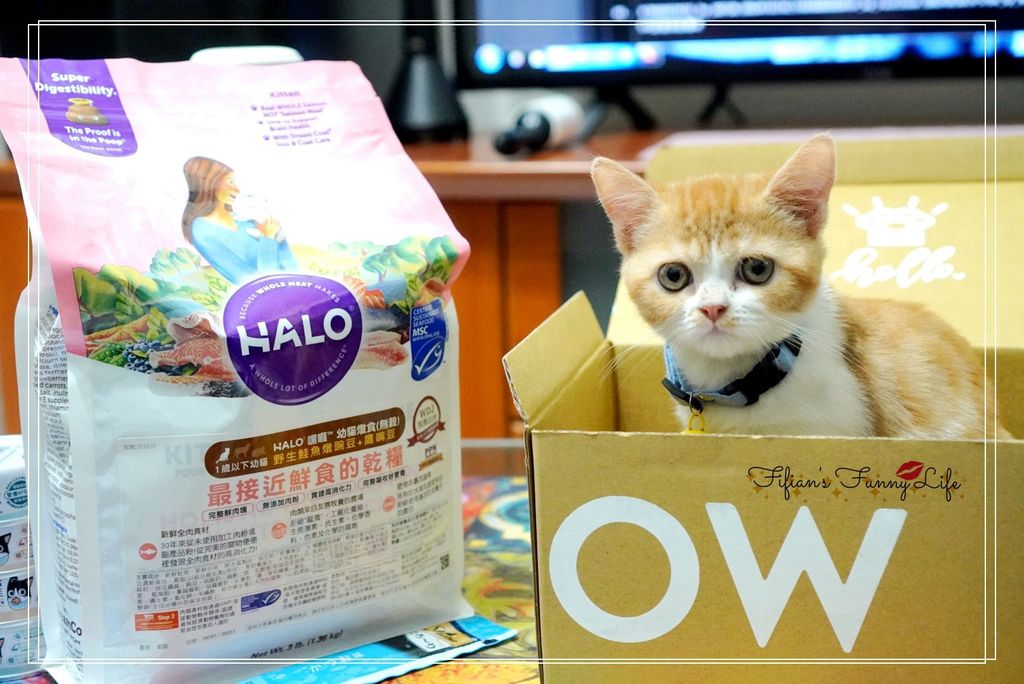 | 寵物 | 卡卡貓CatcatMed  HALU BOX 為自家毛孩提供專屬食品/用品的呼嚕喵盒 訂閱制貓盒 @菲菲吳小姐