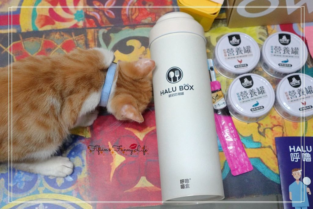 | 寵物 | 卡卡貓CatcatMed  HALU BOX 為自家毛孩提供專屬食品/用品的呼嚕喵盒 訂閱制貓盒 @菲菲吳小姐