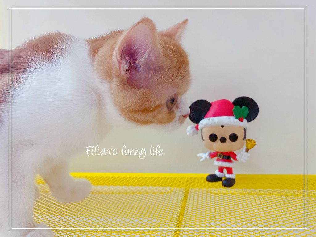 | 生活 | FUNKO POP收藏公仔 迪士尼聖誕系列 叮叮噹米奇米妮敲可愛 @菲菲吳小姐