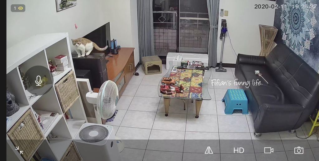 | 貓咪用品 | 寵物監視器 FAMMIX菲米斯 AI智慧夜視監視攝影機 300萬高清畫質 互動式攝影機 外出不怕毛小孩在家孤單囉 @菲菲吳小姐