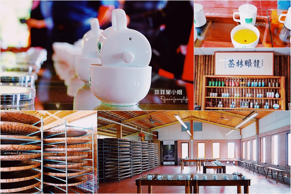 嘉義梅山旅遊 龍眼林茶工場 如何喝出冠軍茶的祕密 體驗比賽茶等級的評鑑方式 @菲菲吳小姐