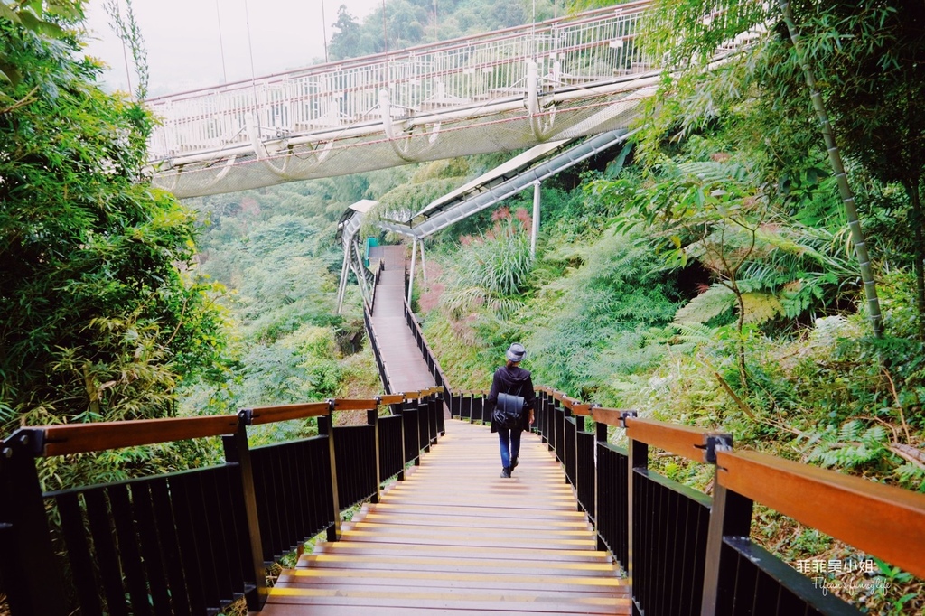 嘉義梅山天空步道 漫步太平雲梯 白天不同夜的美 全台最長景觀吊橋 @菲菲吳小姐
