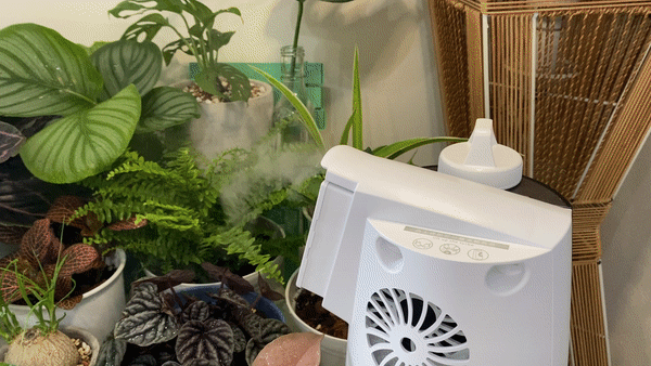 | 家電 | Arlink冰炫風 渦輪水冷霧化器 夏日降溫神器 冷氣房乾燥掰掰  我的植物加濕溫度小天使 @菲菲吳小姐