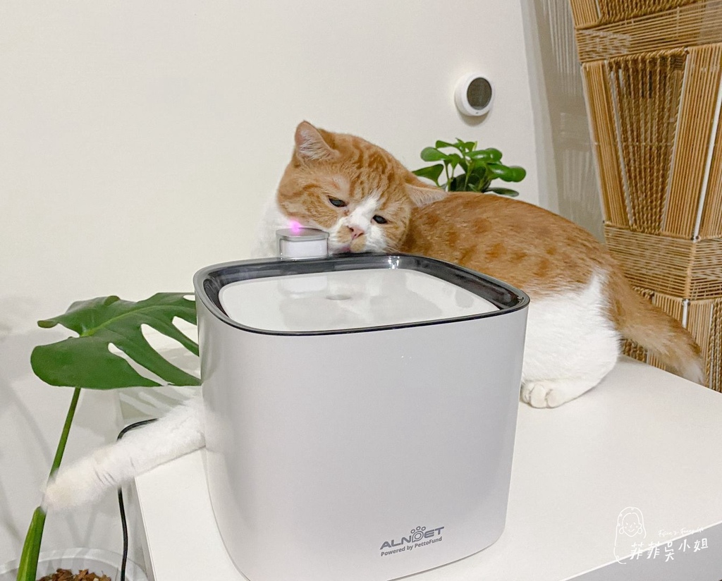 | 貓咪飲水機 | ALNPET寵物智能偵測殺菌式飲水機 首創雙重滅菌技術 讓心愛毛孩安心喝好水 @菲菲吳小姐