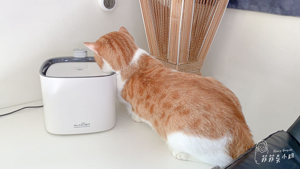 | 貓咪飲水機 | ALNPET寵物智能偵測殺菌式飲水機 首創雙重滅菌技術 讓心愛毛孩安心喝好水 @菲菲吳小姐