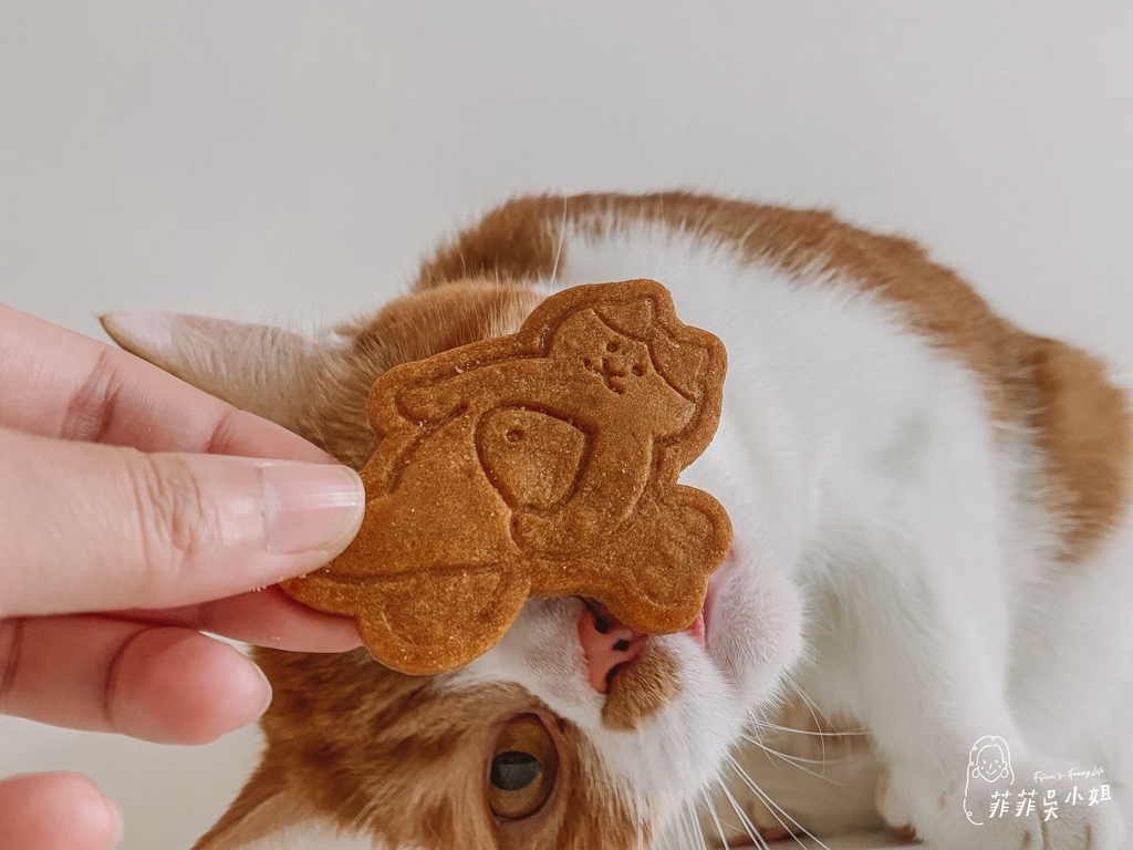 | 喜餅推薦 | 七見櫻堂 X 猫猫喵喵公益菓子舖 貓咪也可以吃的喜餅 助浪計劃 猫猫公益禮盒系列－婚祝的貓 @菲菲吳小姐